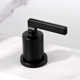 Widespread Bathroom Faucet with Drain Assembly