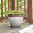 Pot Planter