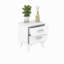 Carranza 40cm W Manufactured Wood Bedside Table