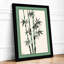 Bamboo in Silence Japandi - Framed Print-44715419-44715422