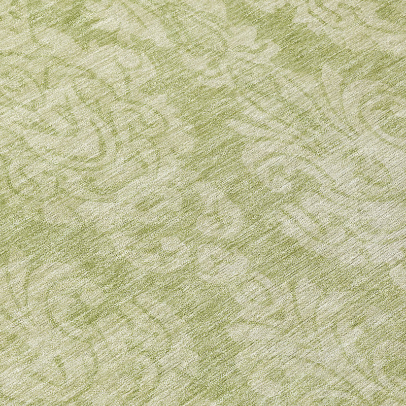 Machine Washable Indoor/Outdoor Claudian ACN1659 Aloe Rug, Rectangle 10' x 14'