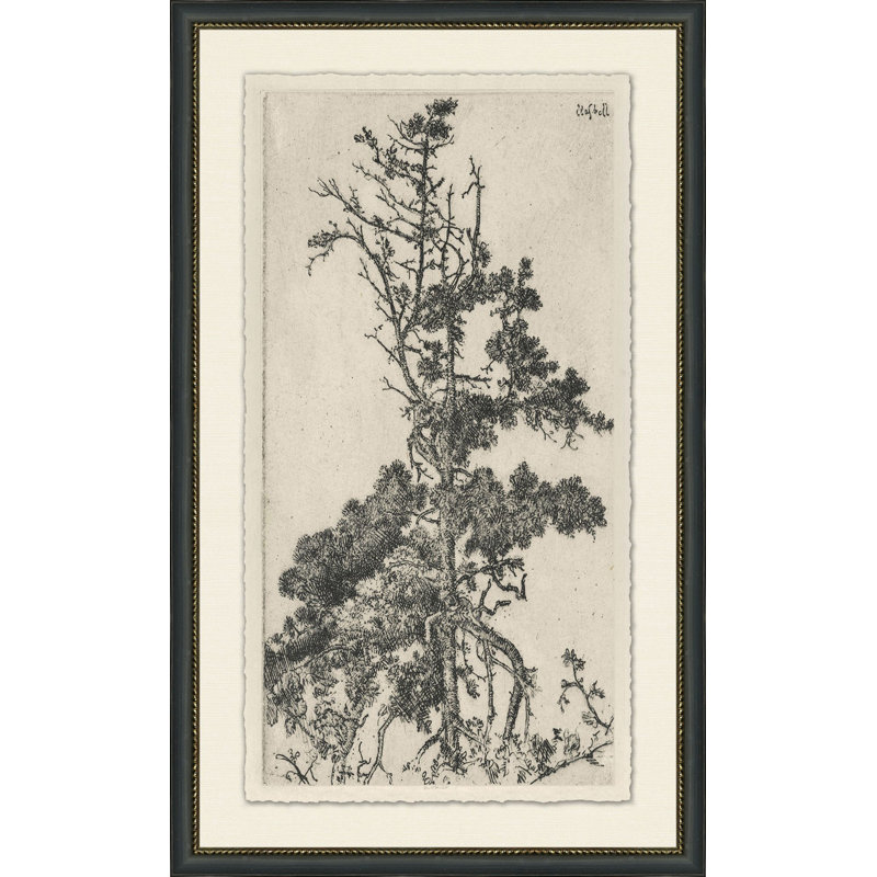 Tree Tops 5 Print