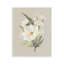 Plaque murale fleurs de papier fleurs luxuriantes, design par House Fenway