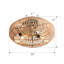 Ventilateur de plafond fermé en rotin 22 po avec télécommande et 6 vitesses réversible, ventilateur de plafond
