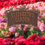 Song Bird Personalized Garden Sign-948510616-951434600