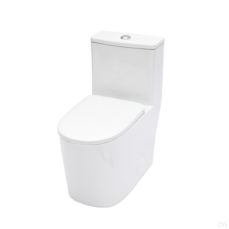Toilette monobloc en céramique pour salle de bain, 12 po à chasse brute, 1,1 / 1,6 GPF, double chasse avec siège à fermeture en douceur, double chasse puissante CARTE 800G