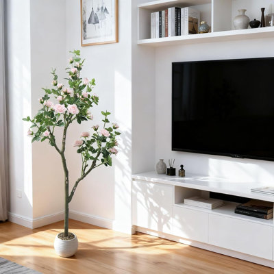 183cm Plant