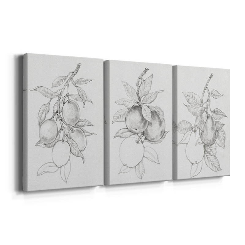 FruitBearing Branch I - Toile tendue avec châssis sur mesure - 3 pièces, H 48 po x l 96 po