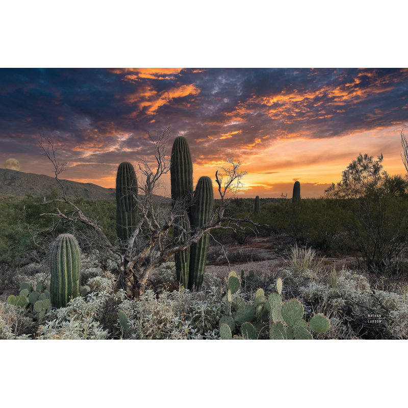 Photographie «Sunset Sunset Moonrise» par Nathan Larson, H 8 po x l 12 po, Toile tendue