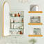 Aishwarya 40mm W 80mm H Framed Medicine Cabinet Mirror 3 Fixed-1835345900