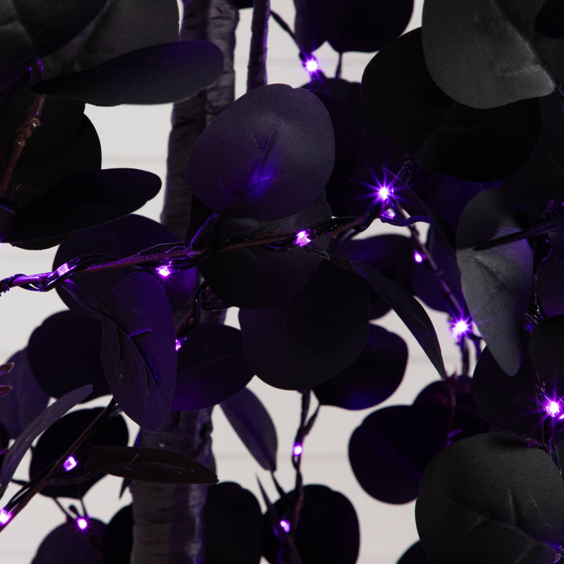 Arbre d'eucalyptus artificiel pré-éclairé noir d'Halloween avec 300 lumières DEL orange et mauves