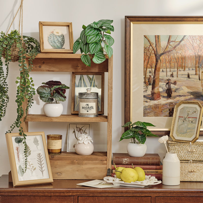 Topiaire 5,9 po Philodendron en pot en céramique pour bureau ou tablette
