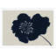 Hellebores 2 Print by Susan Hable