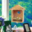 Nid d'oiseau extérieur avec ventouse et fournitures de décoration de jardin Nid d'oiseau pour fenêtre