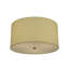 3 - Light Flush Mount