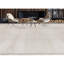 Area Rug in Gray