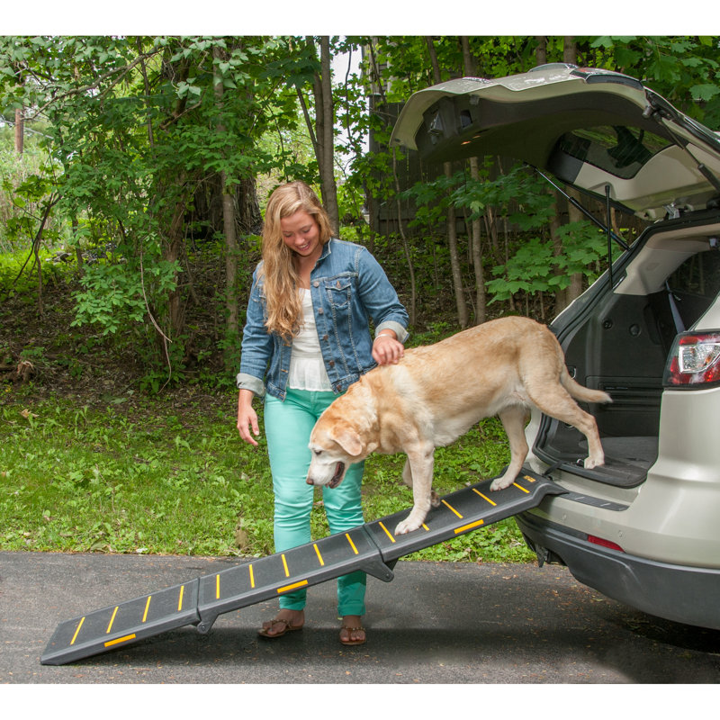 Black and Yellow Reflective Tri-Fold Pet Ramp