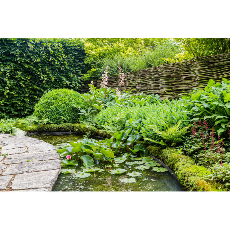 " Garden Design With Water Elements " by Hildaweges, 8" H x 12" W