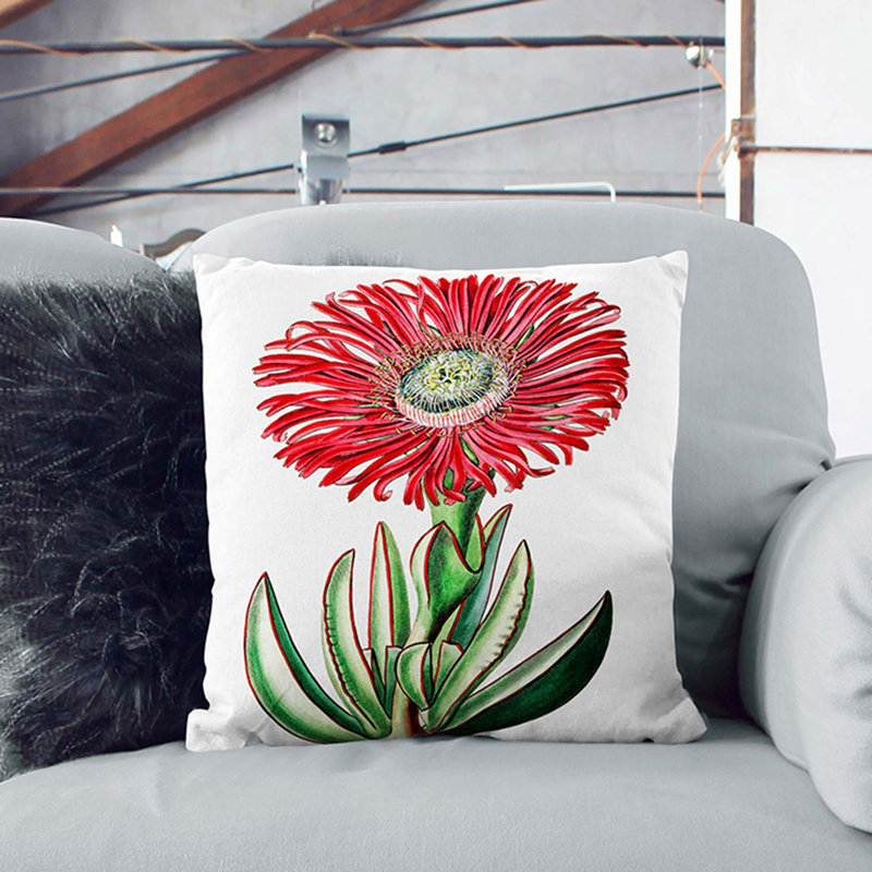 Square Throw Cushion, 55cm H x 55cm W x 20cm D, White