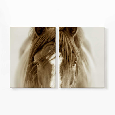 Majestic Wonder | Impression sur toile 2 panneaux