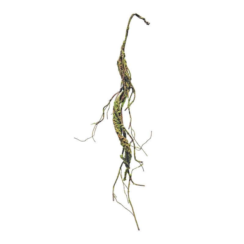 Guirlande Mossy Twig (ensemble de 2)