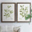 Toile encadrée Herb Sage-Premium - prête à être accrochée-652120135-652120134