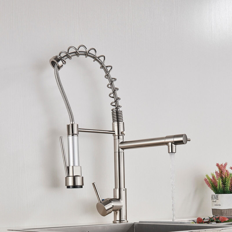 Belfry Kitchen Allicia Pull Down Kitchen Faucet