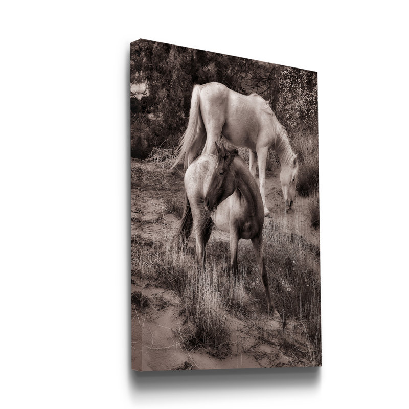 « Beach Horses II », reproduction d’art sur toile tendue, H 12 po x l 8 po x P 1 po