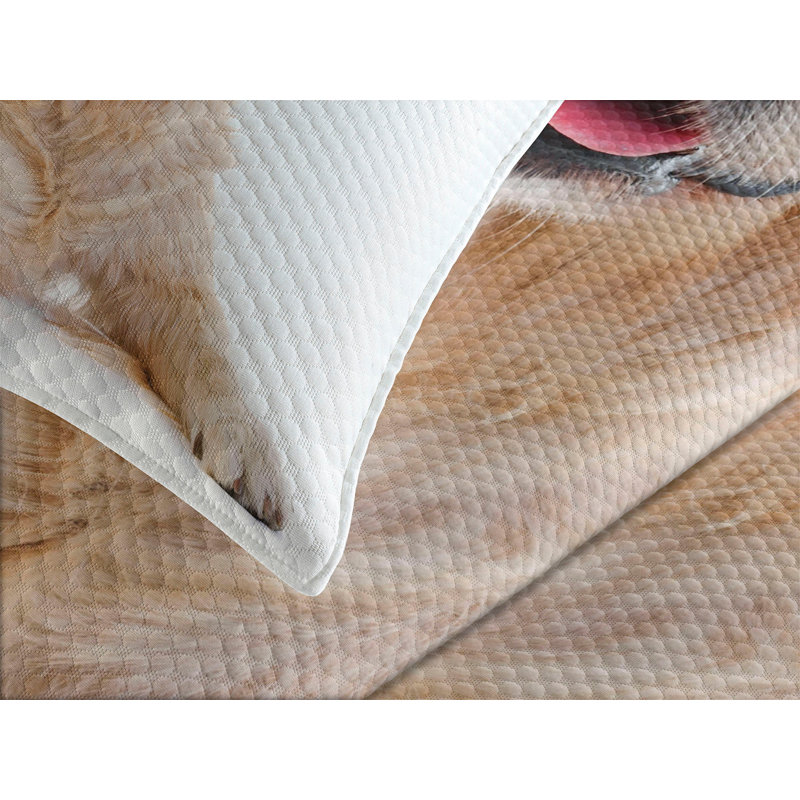 Adhamh White/Brown Microfibre Bedspread Set, 220 x 264 cm Bedspread - 2 Shams