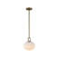 Luminaire suspendu 1 lumière Velora