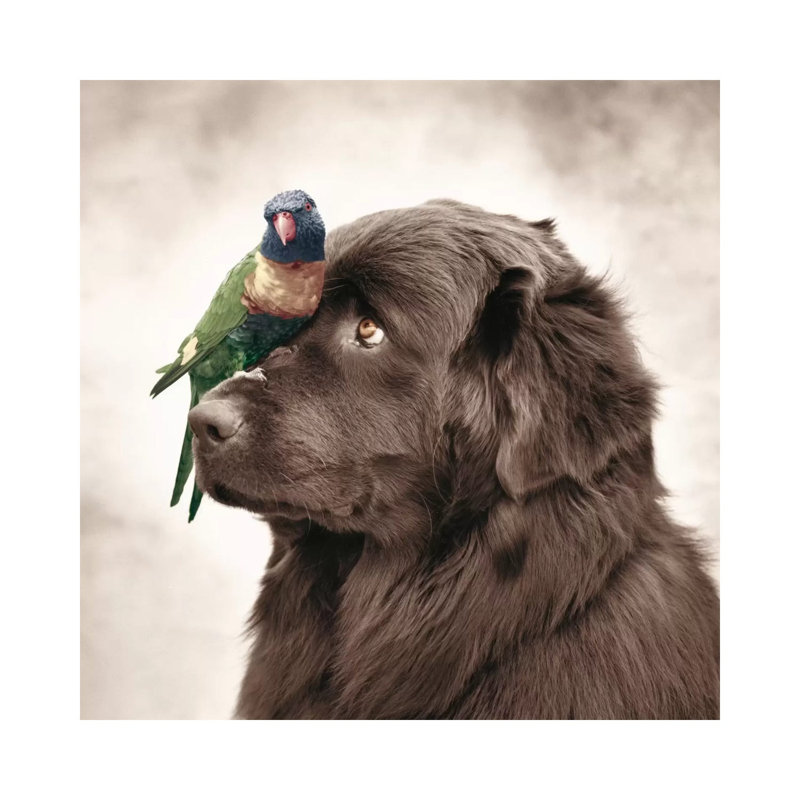 Henry And Pipi by Rachael Hale - Print on Canvas, Wrapped Canvas, 45.72 cm H x 45.72 cm W x 1.91 cm D