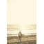 Surfista III Print by Karyn Millet-74687314-75034923