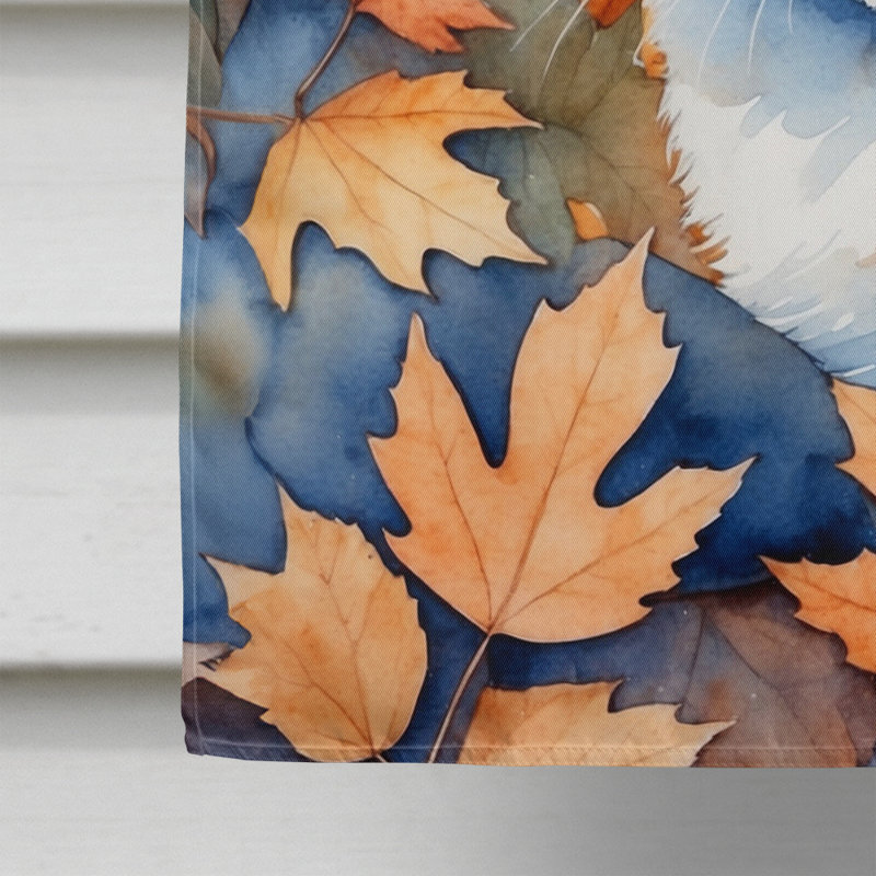Chat en feuilles d'automne, Ojos Azules