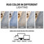 Tapis bleu / ivoire Somona-536083244