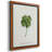 " Lucky Charm I " Painting Print-271137260-282792901