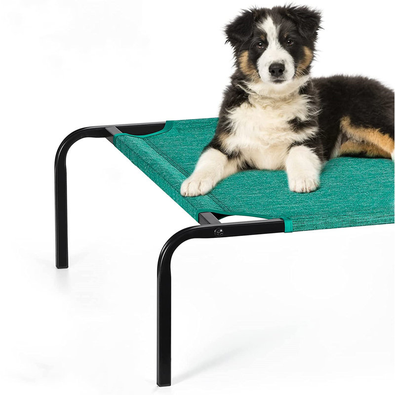 Botyo Polyester Pet Bed, Green