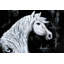 «Horse Profile View» sur toile