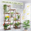 Abdiaziz Wood Plant Stand