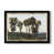 Framed Canvas