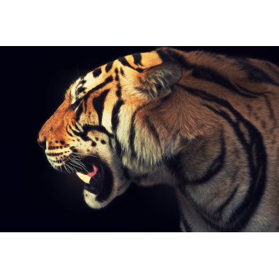 Tiger by Tunart - Wrapped Canvas Print