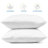 Reversible Throw Pillow Insert-117668998-50930870