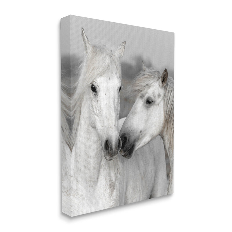 "White Horse Kiss", art mural sur toile par Danita Delimont, H 48 po x l 36 po x P 1,5 po