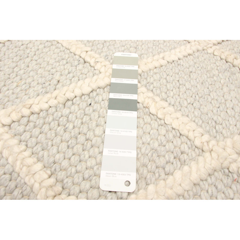 Iagulli Performance Hand Braided Wool Rug