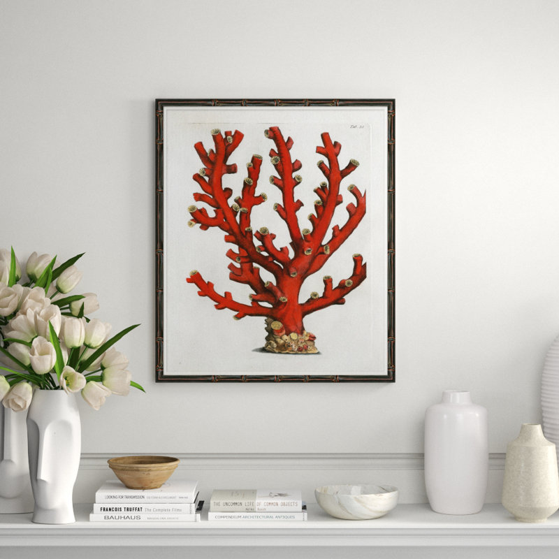 Red Coral III Giclee Print by Soicher Marin Archives