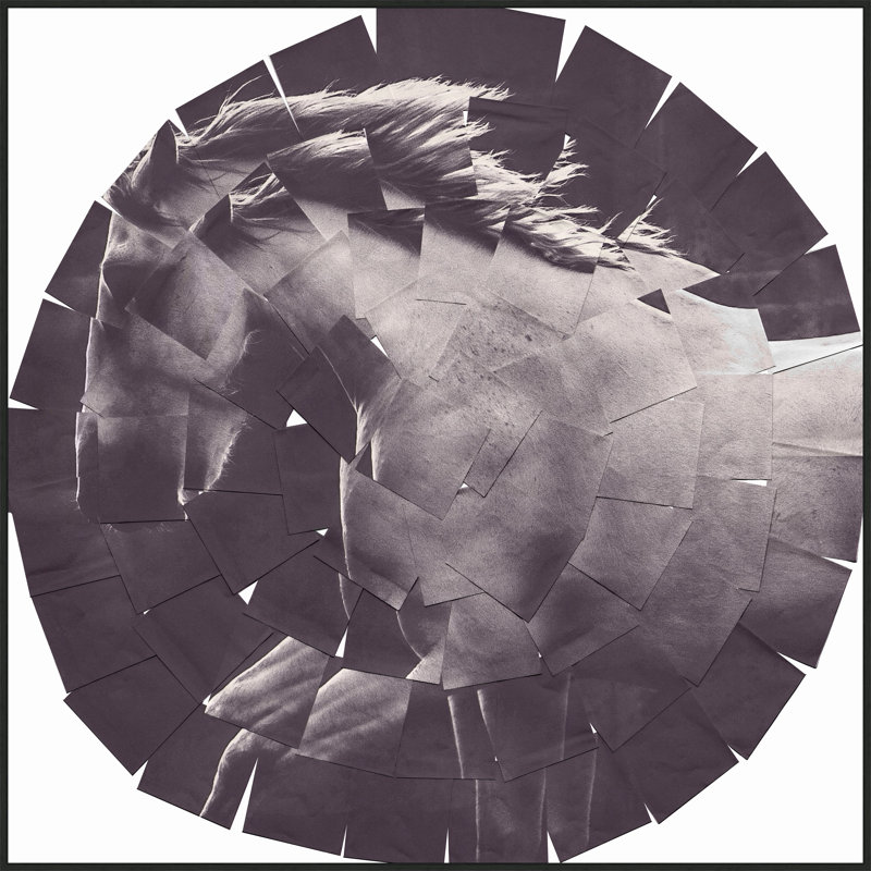 Equestrian Circle Collage Print by StudiObjet
