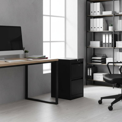 38.1cm Wide 2 -Drawer Steel File Cabinet