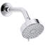 Awaken G90 2.0 GPM Multifunction Shower Head-827888398