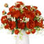 Arrangement-202177413
