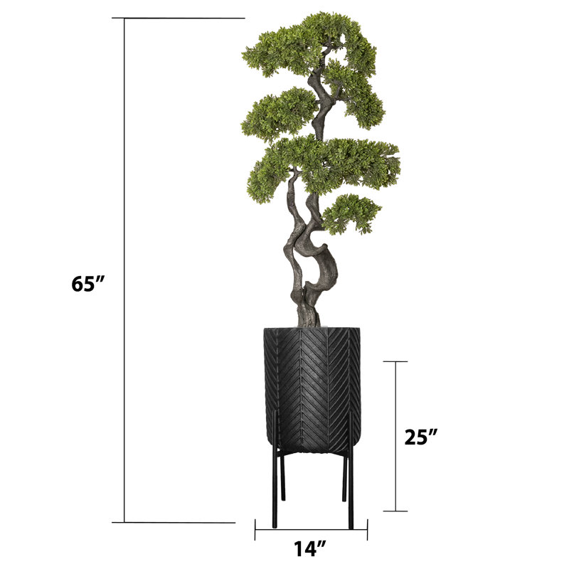 Hinkle 64.5'' Faux Bonsai Tree in Planter