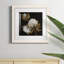 Cotton Balls II - peinture encadrée-241954697-241954701